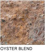 walls_oyster