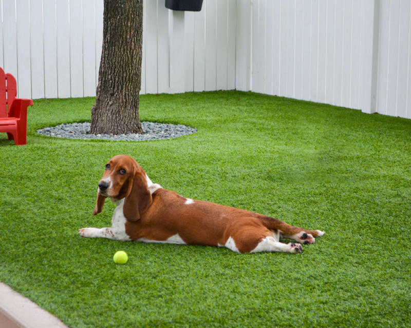 Golden Vale Synthetic Turf®